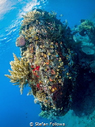 Blunt ... !

Japanese Wreck, Amed, Bali by Stefan Follows 